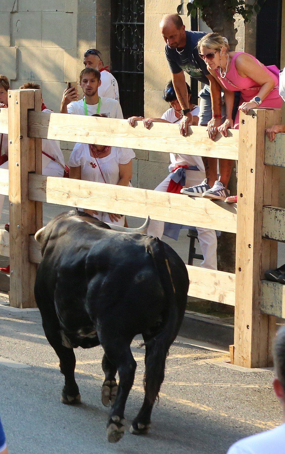 Fotos del primer encierro de fiestas de Tafalla