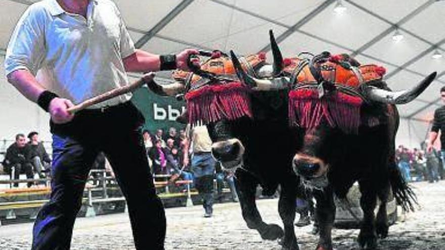 Sistiaga se queda  fuera de los &quot;Urrikos&quot;