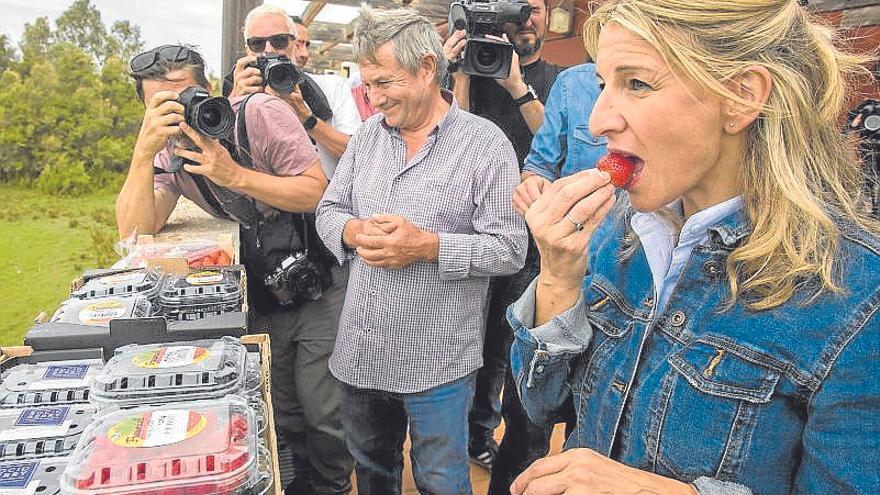 Yolanda Díaz come fresas mientras el Supremo da la puntilla a Irene Montero.  | FOTO: E.P.