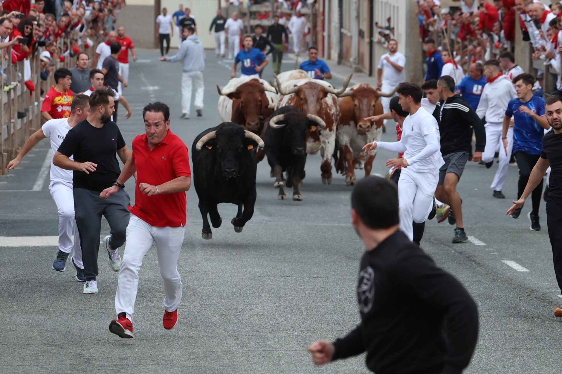 Fotos del primer encierro de fiestas de Sangüesa