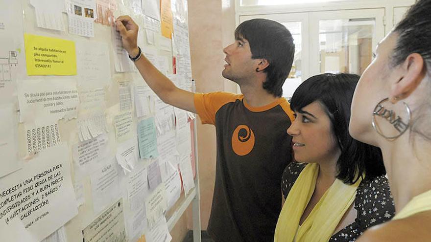Estudiantes, buscando oportunidades profesionales