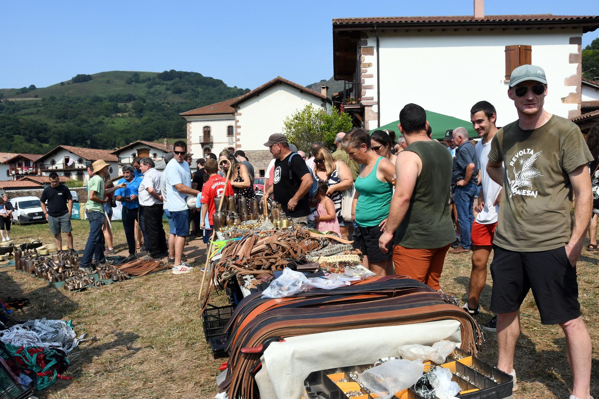 Artzai Eguna en Amaiur