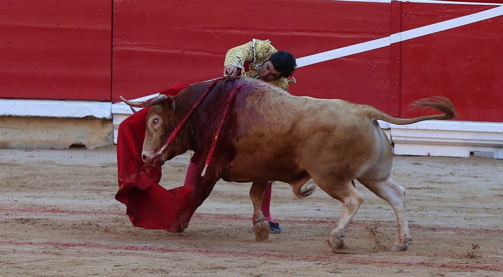 Fotos de la corrida de toros del día 9.