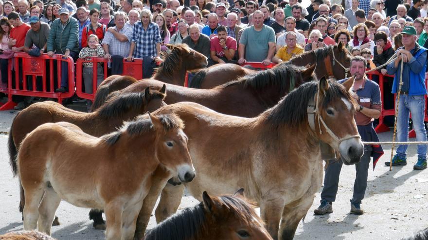 Intenso fin de semana de ferias en Altsasu