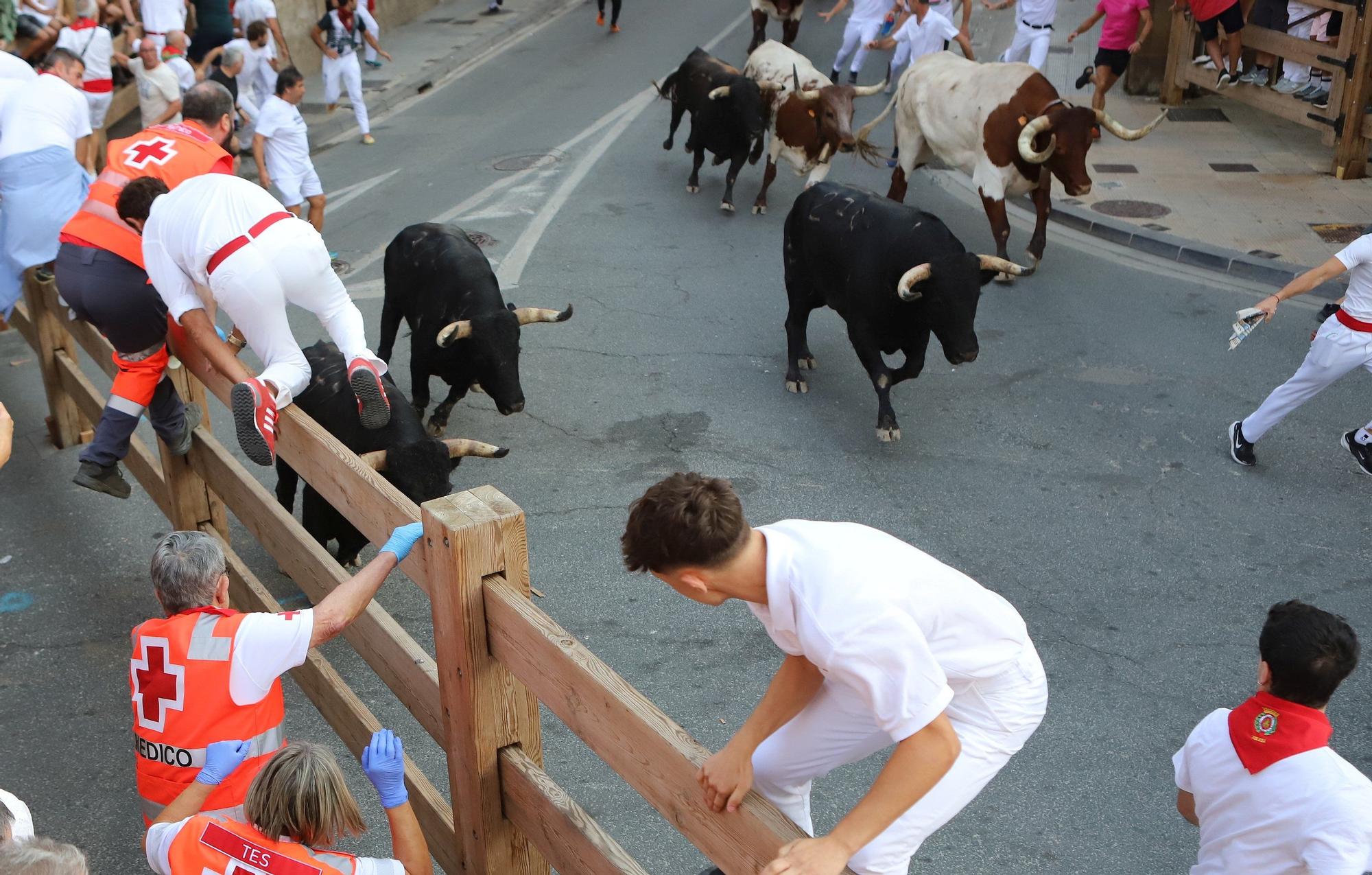 Fotos del segundo encierro de fiestas de Tafalla 2025