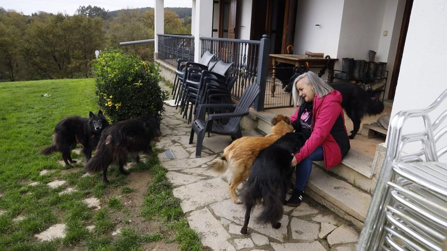 Zintzoa, un espacio de educación canina y hotel para perros