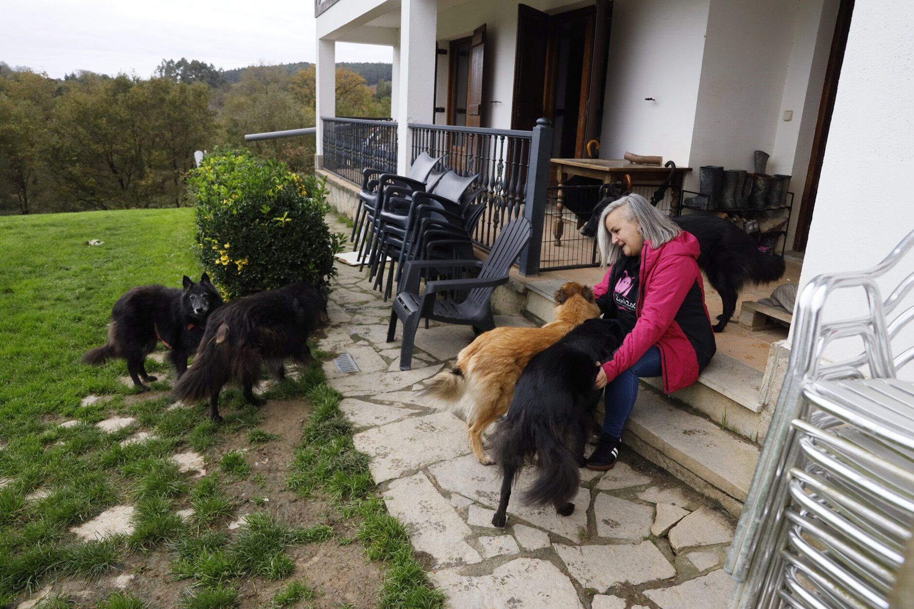 Zintzoa, un espacio de educación canina y hotel para perros