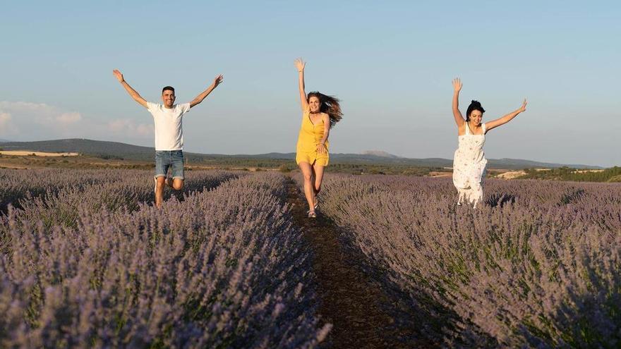 La Ribera del Duero que no sabías que existía