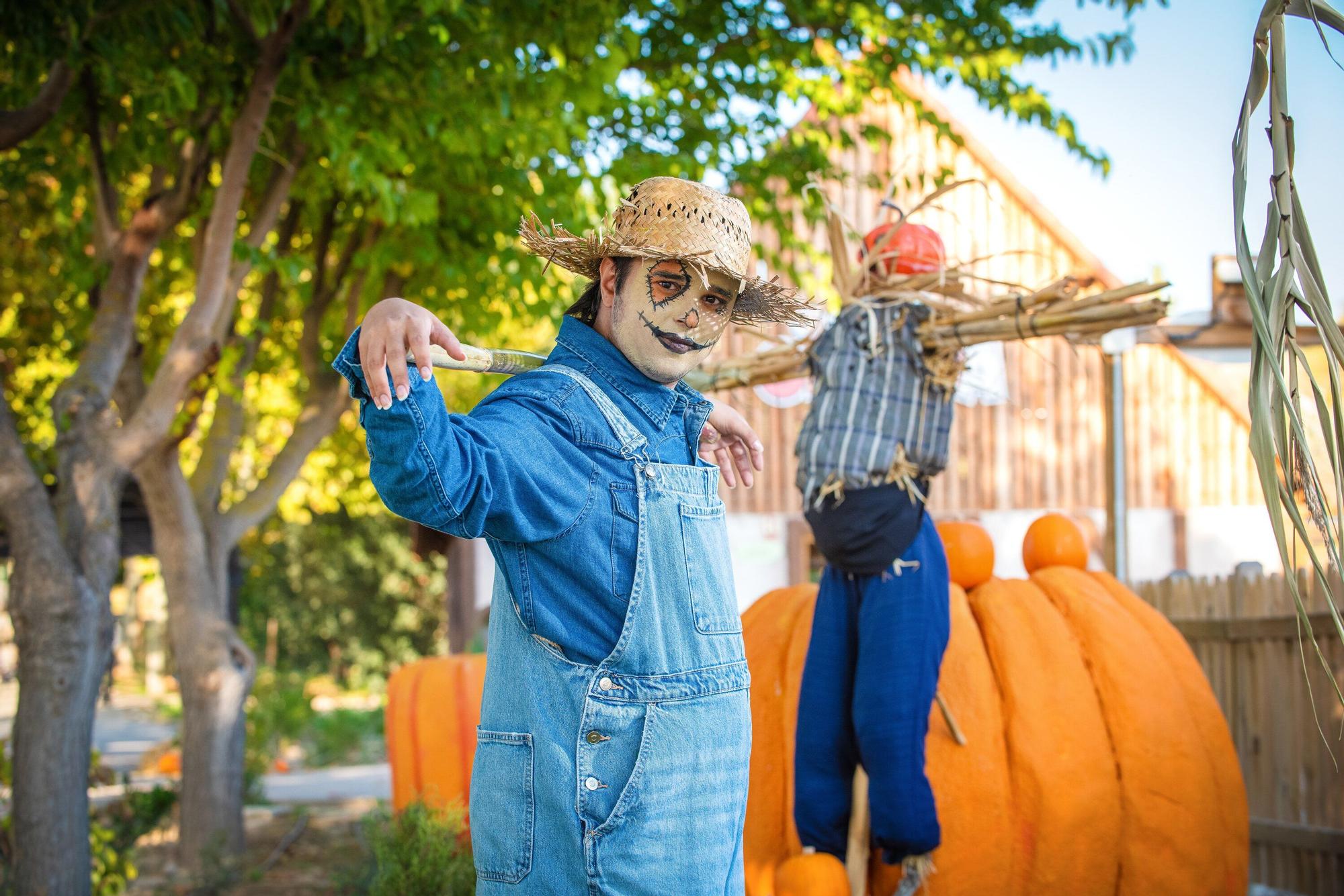 Halloween llega a Sendaviva