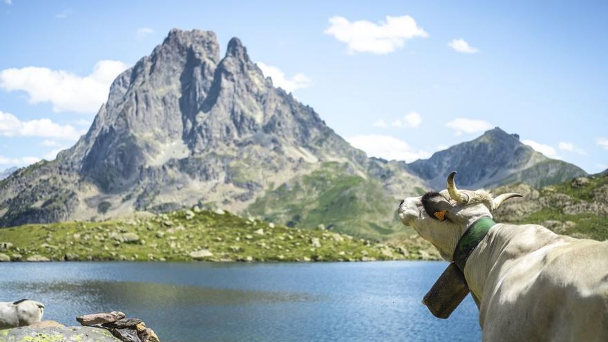 Prohibido bañarse en los lagos de montaña de los Pirineos franceses