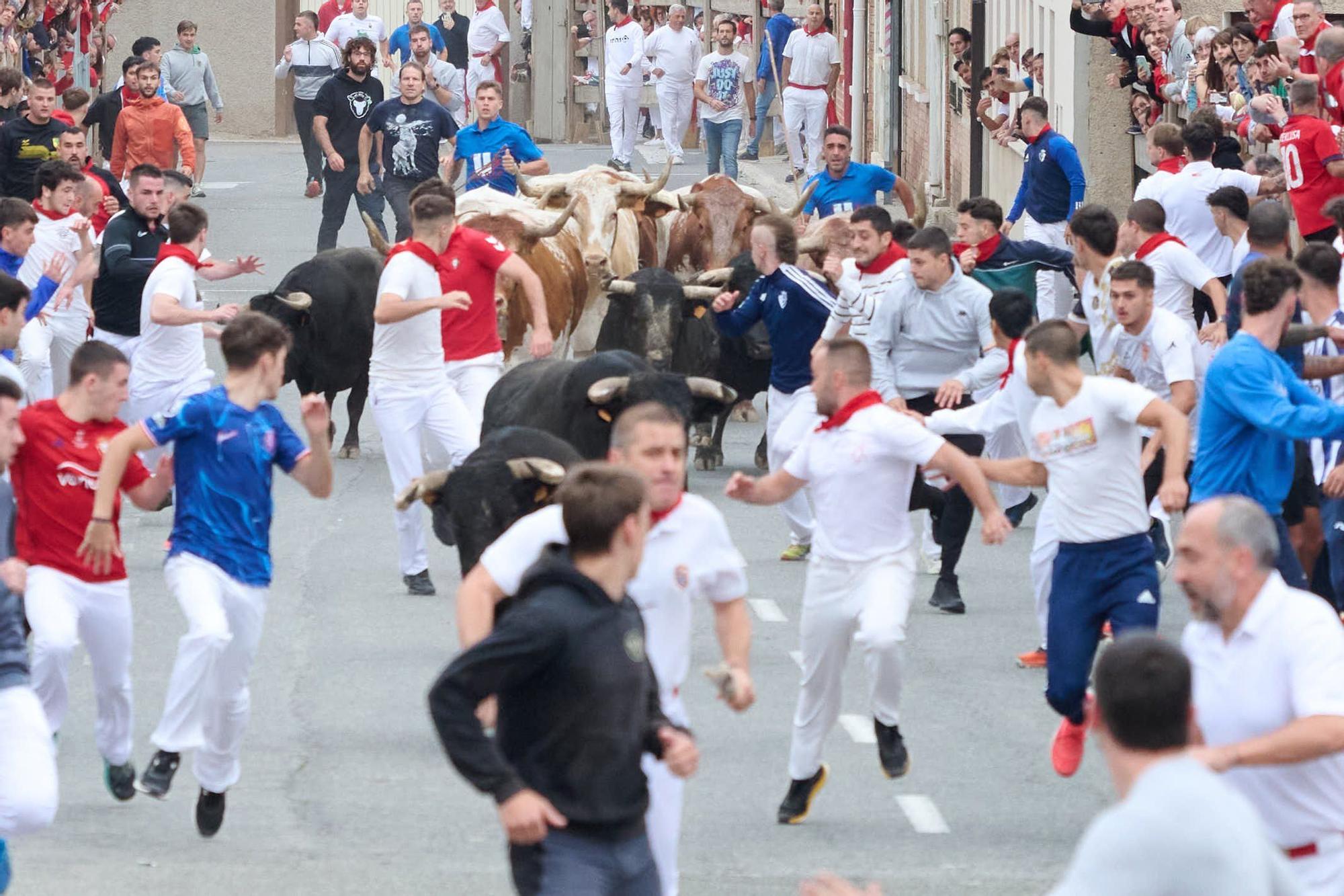 Fotos del segundo encierro de las fiestas de Sangüesa 2025