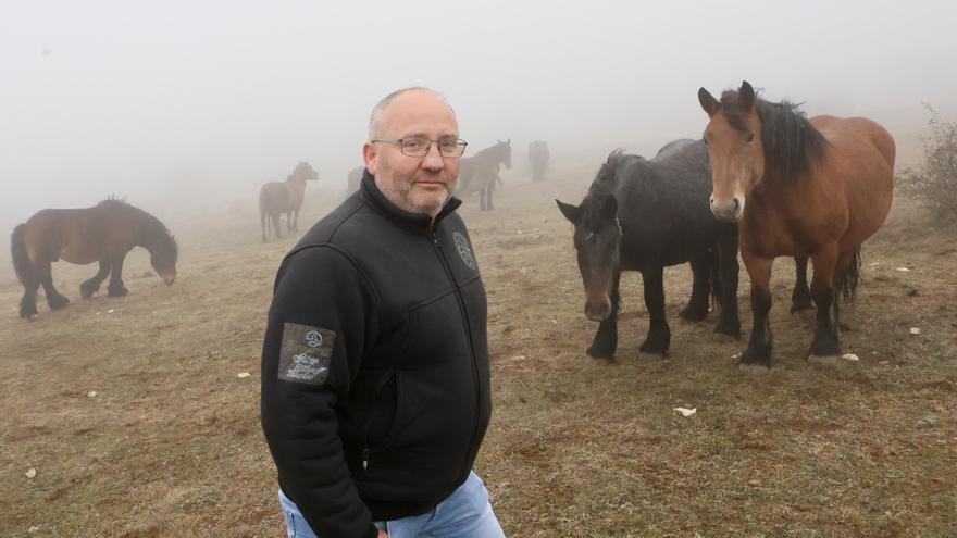 El equino se afianza en el campo alavés