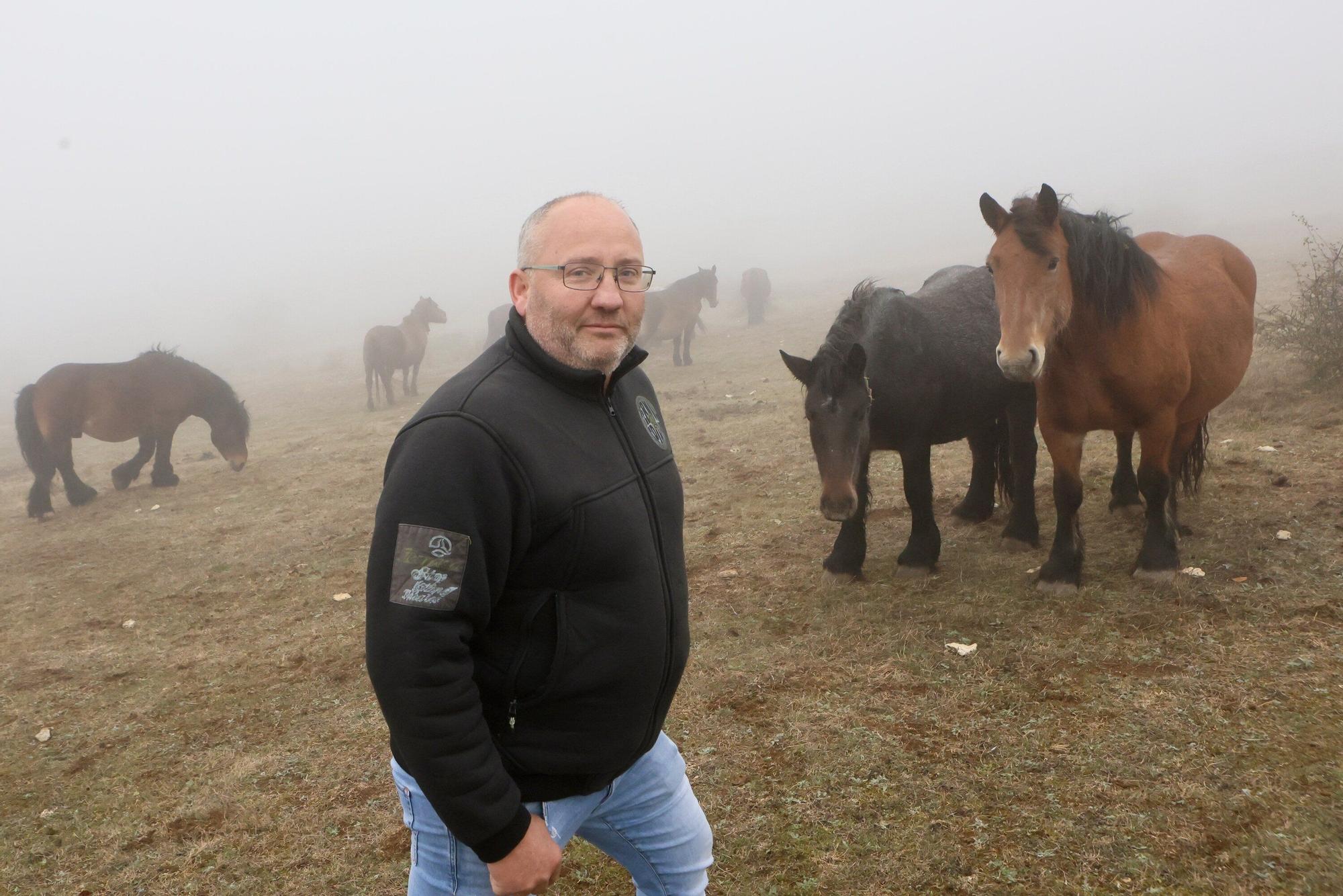 Reportaje a Raúl Rituerto, presidente de la Asociación alavesa de criadores de equino