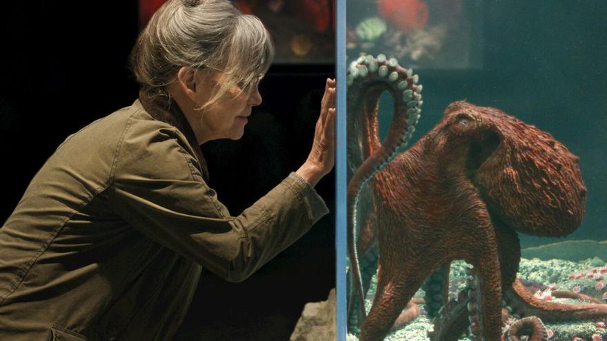 La amistad entre Sally Field y un pulpo cautiva al público de Netflix