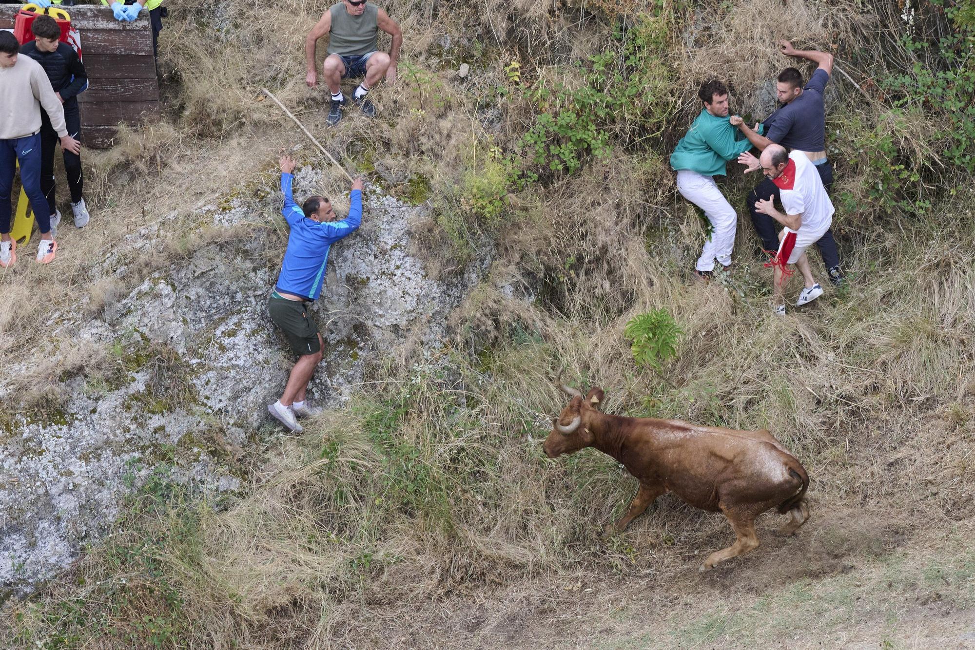 Fotos del tercer encierro del Pilón de Falces 2025