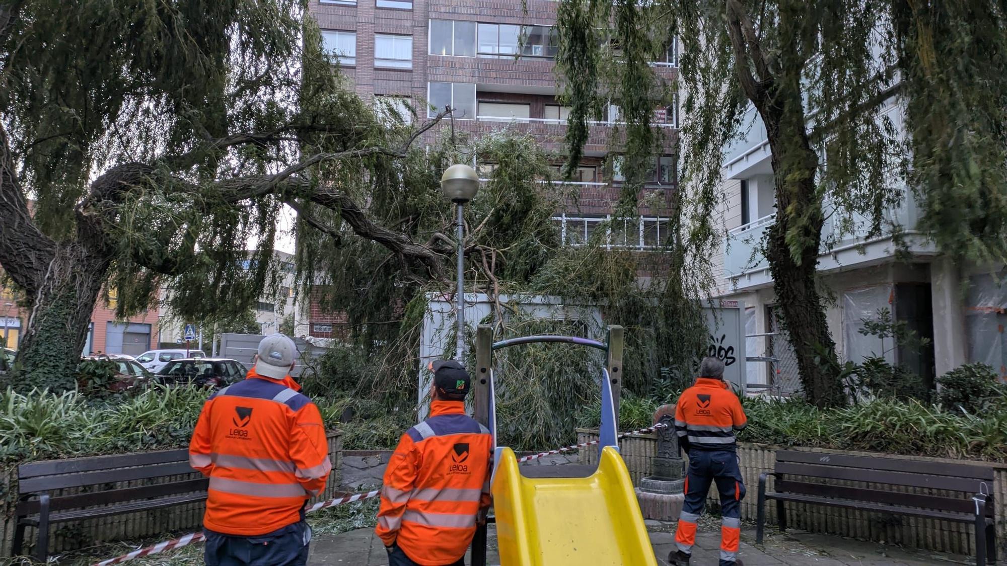 La borrasca Benjamín provoca incidencias en Bizkaia