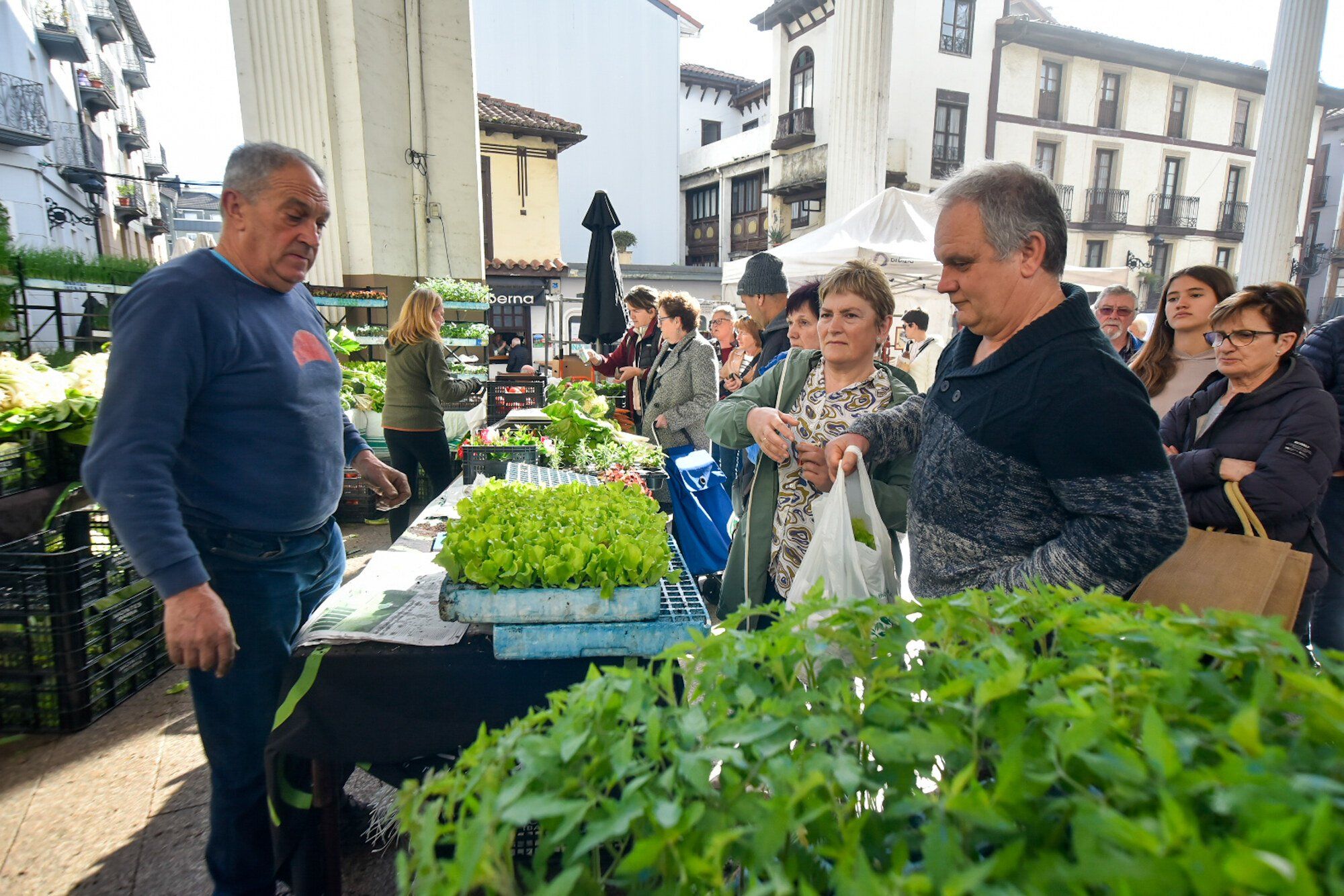 En imágenes: Edorta Lamo, protagonista del Artzain Eguna celebrado en Ordizia