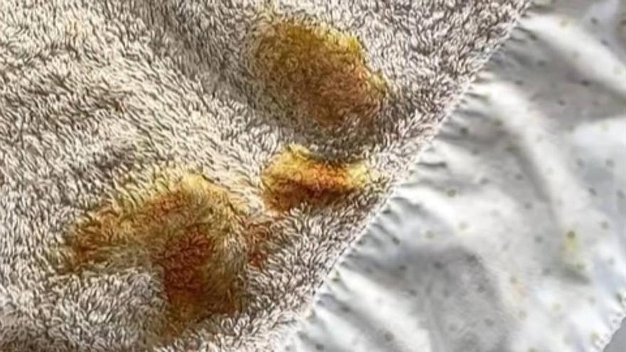 Desde insecticida hasta desengrasante: estos son los cinco usos del jabón Beltrán que desconocías, según dos expertas en limpieza