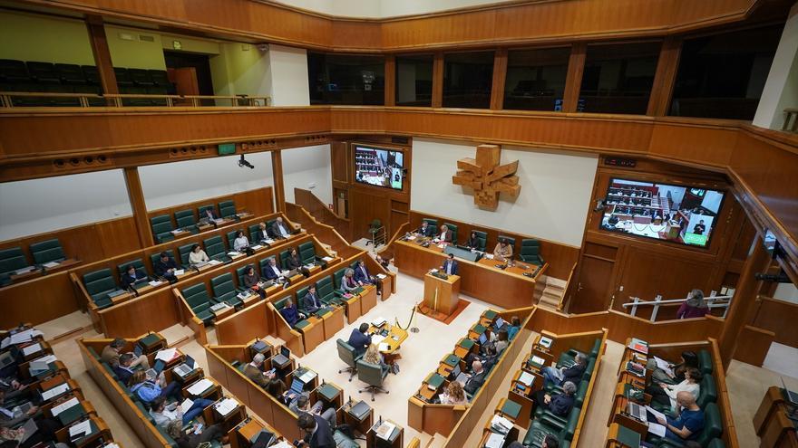 El Parlamento Vasco designa a Xabier Arzoz y a Javier García Roca candidatos al TC