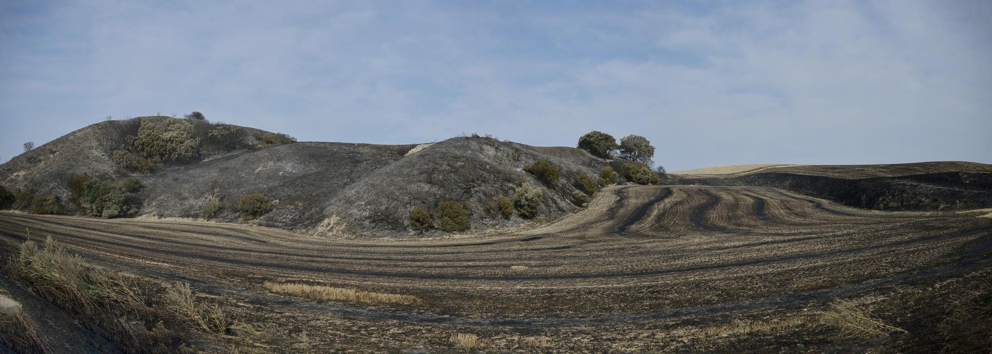 Imágenes de la zona afectada por el incendio en Enériz