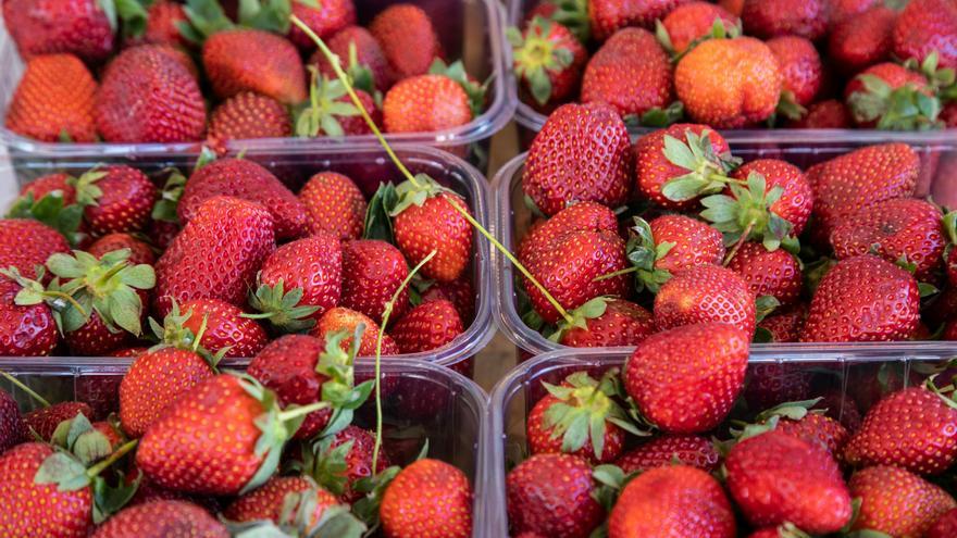 Los fascinantes viajes de ida y vuelta de las fresas de Huelva