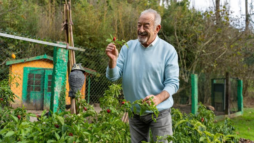 Karlos Arguiñano pone fin a las dudas sobre la miel: "Es sorprendente, la verdad"