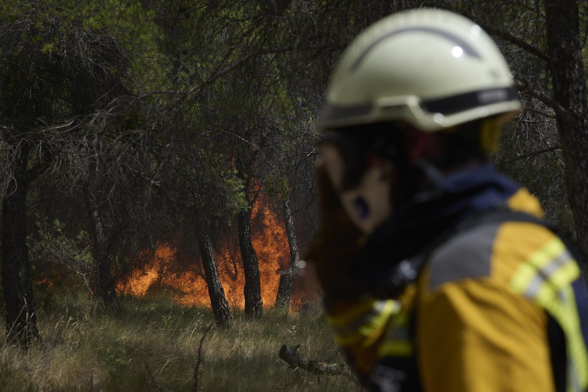 Fotos del incendio forestal cerca de Carcastillo