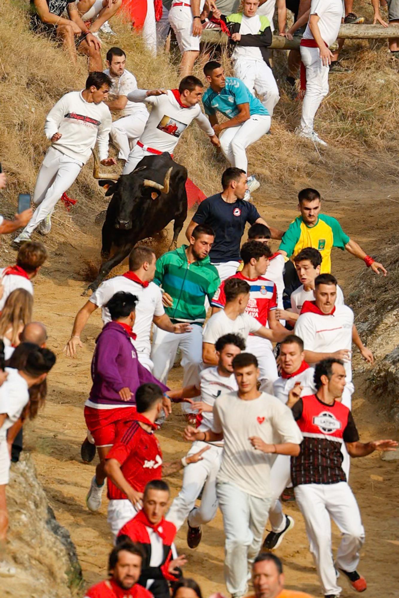 Fotos del segundo encierro del Pilón de Falces 2025
