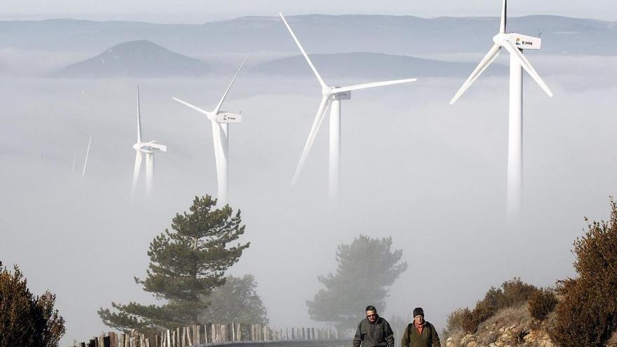 Alianza ecologismo-agricultura para defender la biodiversidad