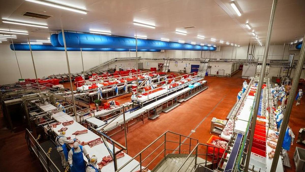 Sala de despiece de Cárnicas Iruña en el polígono de Venta de Judas.