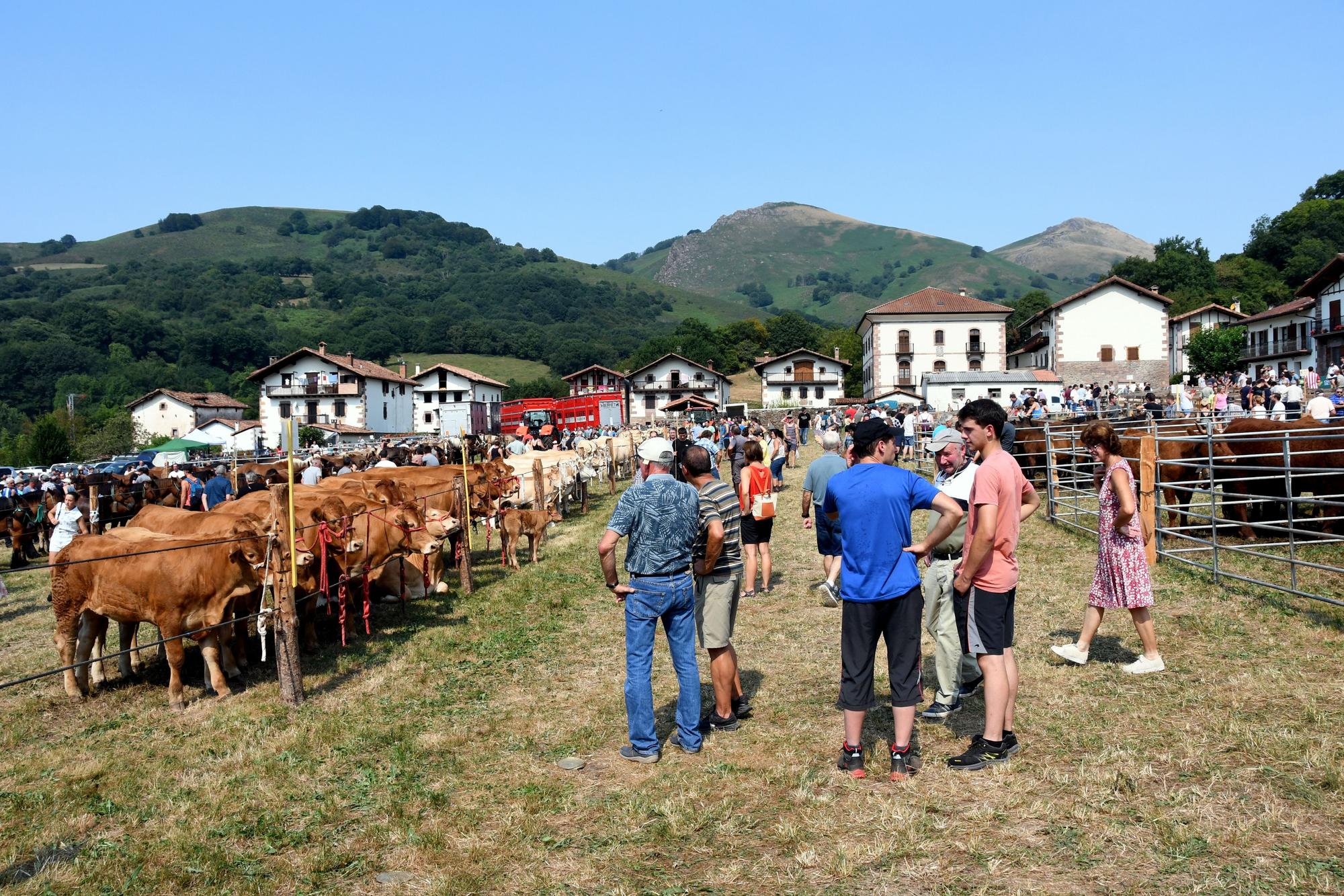 Artzai Eguna en Amaiur