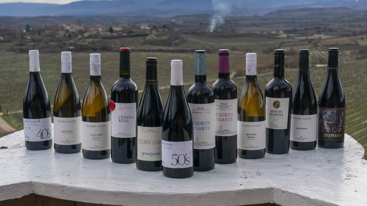 Vinos pertencientes al hotel bodega Eguren Ugarte