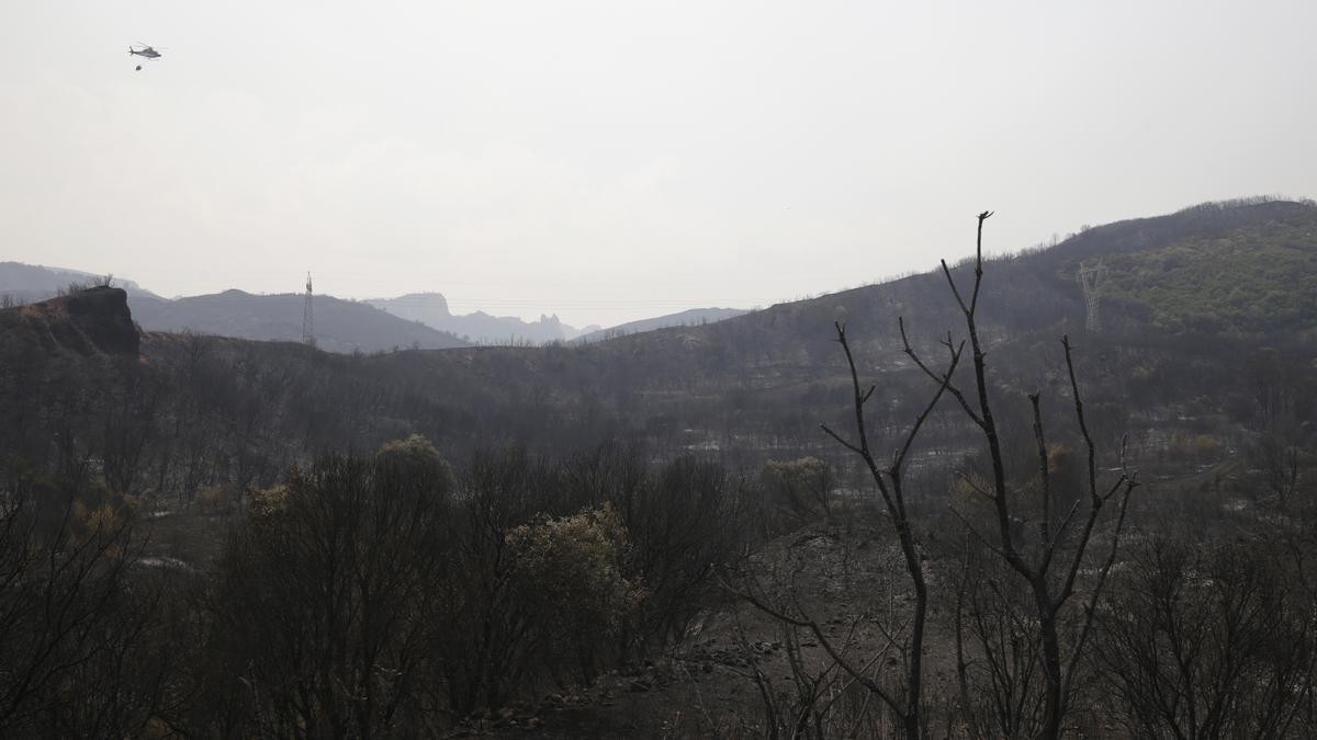 Campo quemado en la zona de Las Médulas, en la comarca de El Bierzo (León).