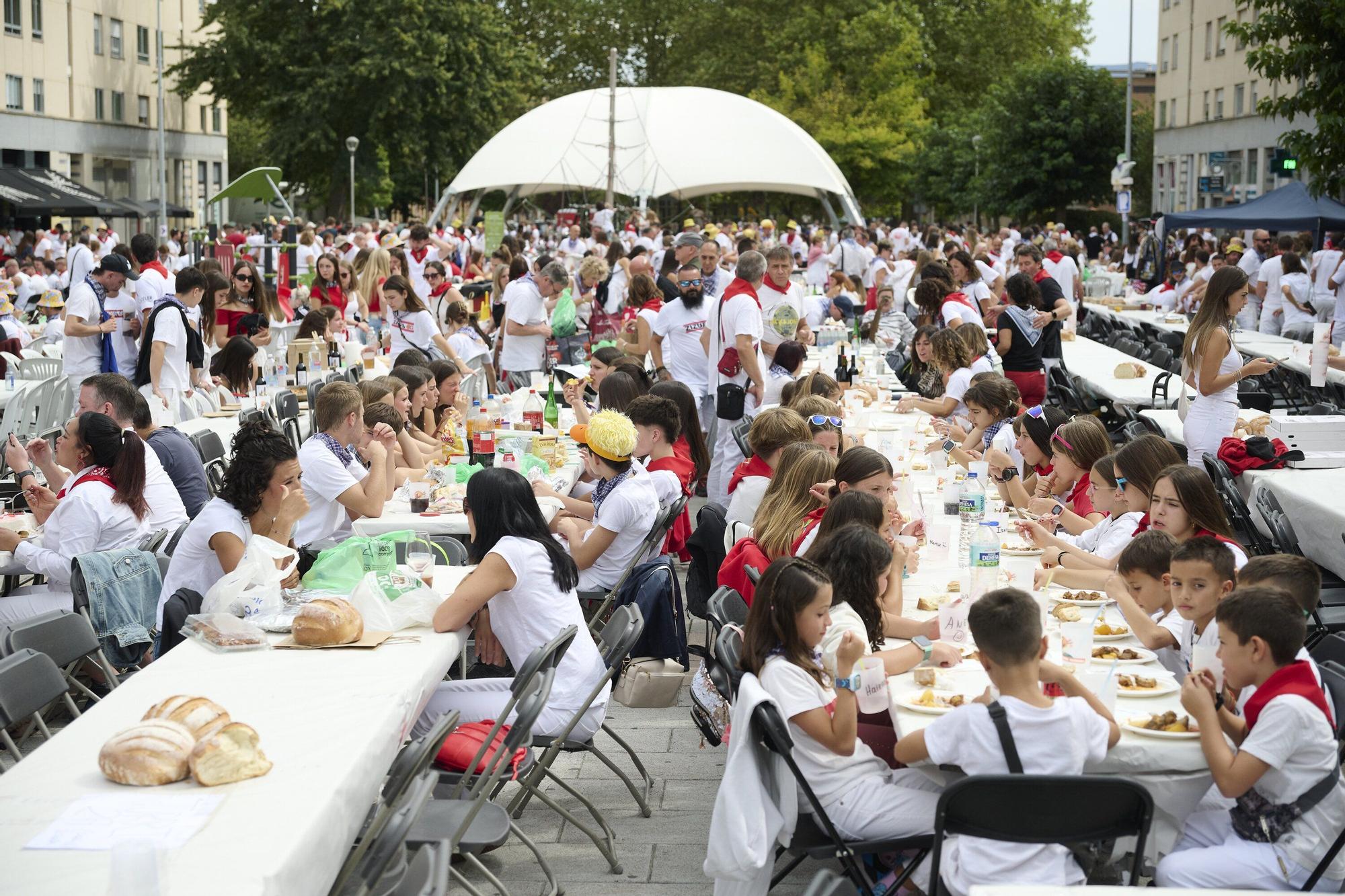 Fotos de la comida del pato en Zizur