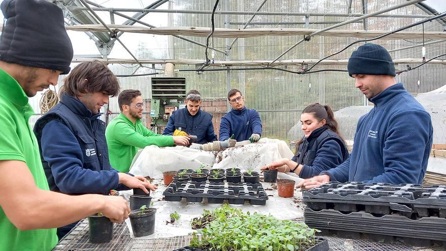 Presentados tres proyectos de Escuelas Taller para las subvenciones del Servicio Navarro de Empleo