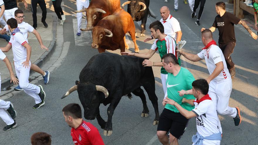 Fotos del quinto encierro de fiestas de Tafalla 2026