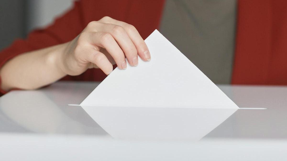 Imagen de recurso de una persona votando