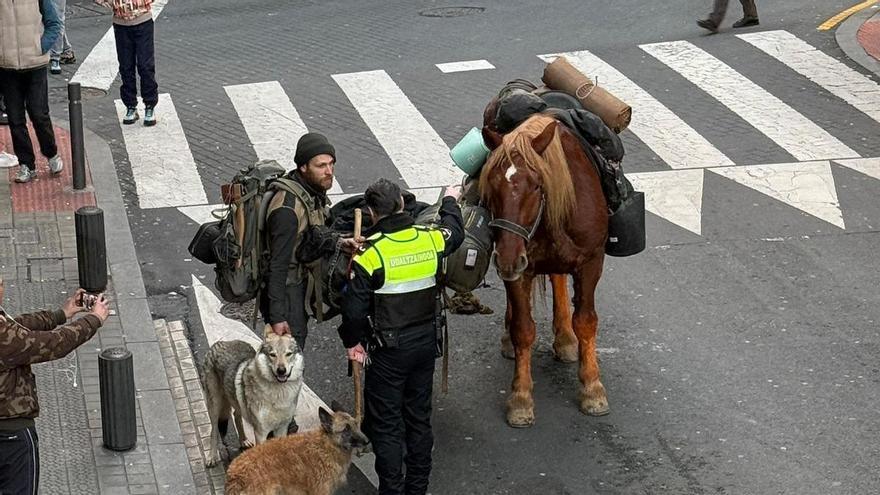 Una persona irrumpe en San Francisco con un poni y un caballo