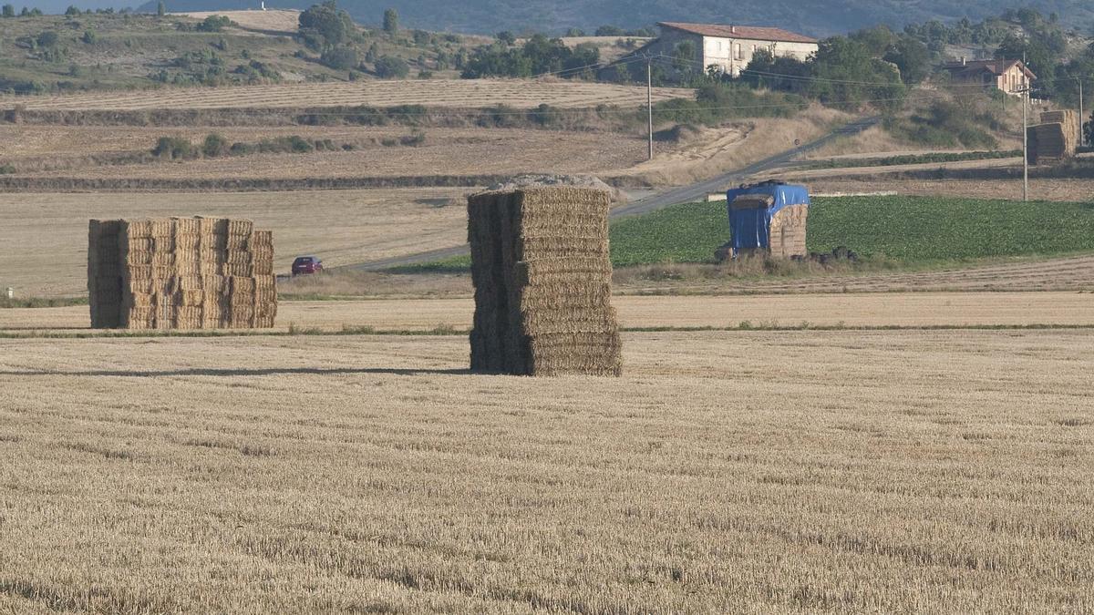 Finca de cereales.