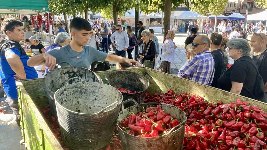 El Pimiento del Piquillo de Lodosa celebra este fin de semana su gran cita anual