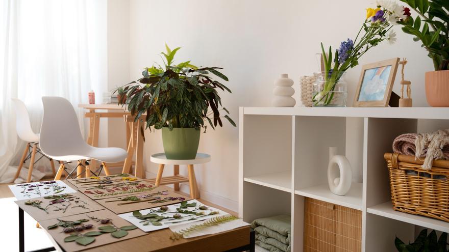 El todo en uno de Primark: transforma tu casa con este chollo multiusos