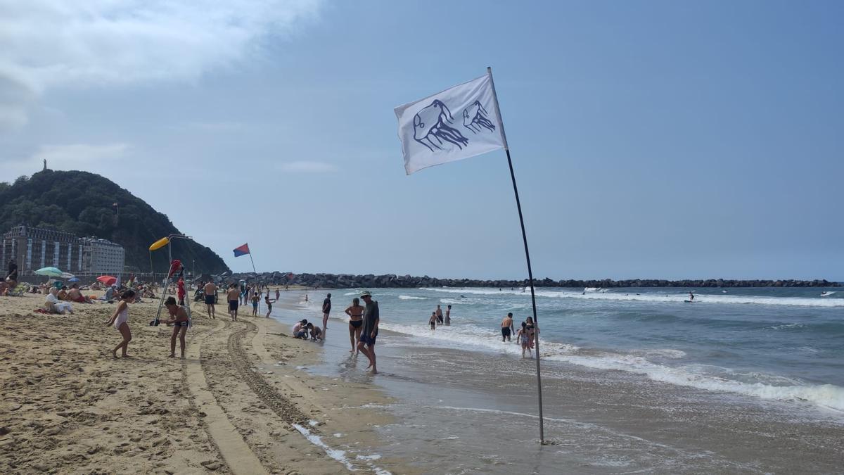 Bandera de alerta de medusas en La Zurriola