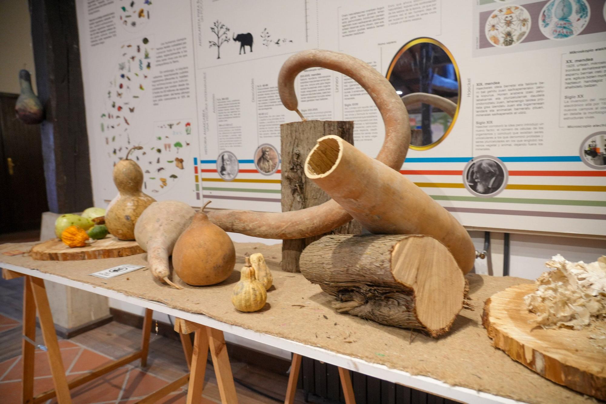 En imágenes: Exposición de calabazas en la Casa de la Dehesa