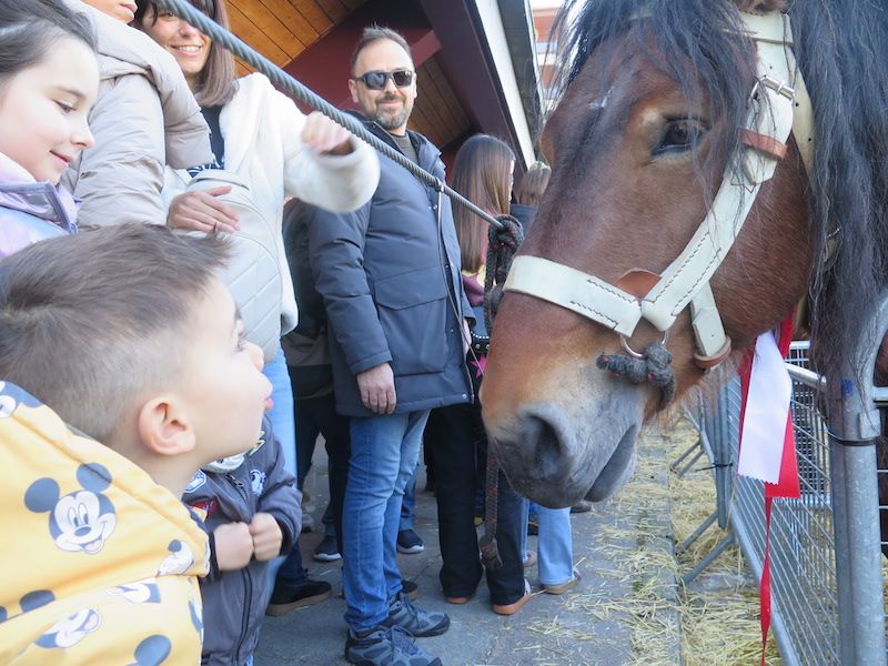 La feria de Santa Lucía, en imágenes