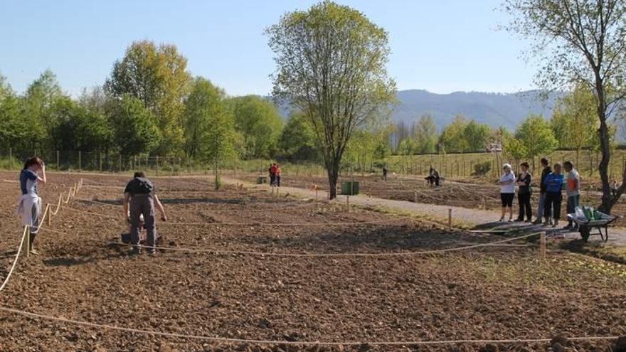 Los huertos urbanos ubicados en el entorno de las riberas del río Oka, en Gernika-Lumo. Foto: A. Erdaide