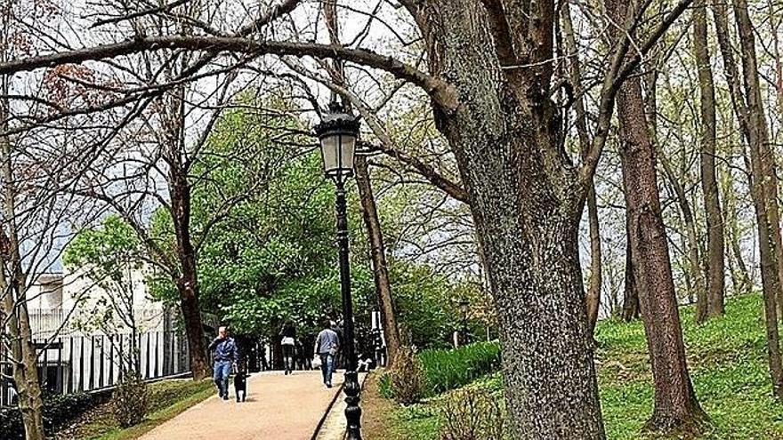 La rebaja de la cuesta de Cristina Enea afectará  a 18 árboles