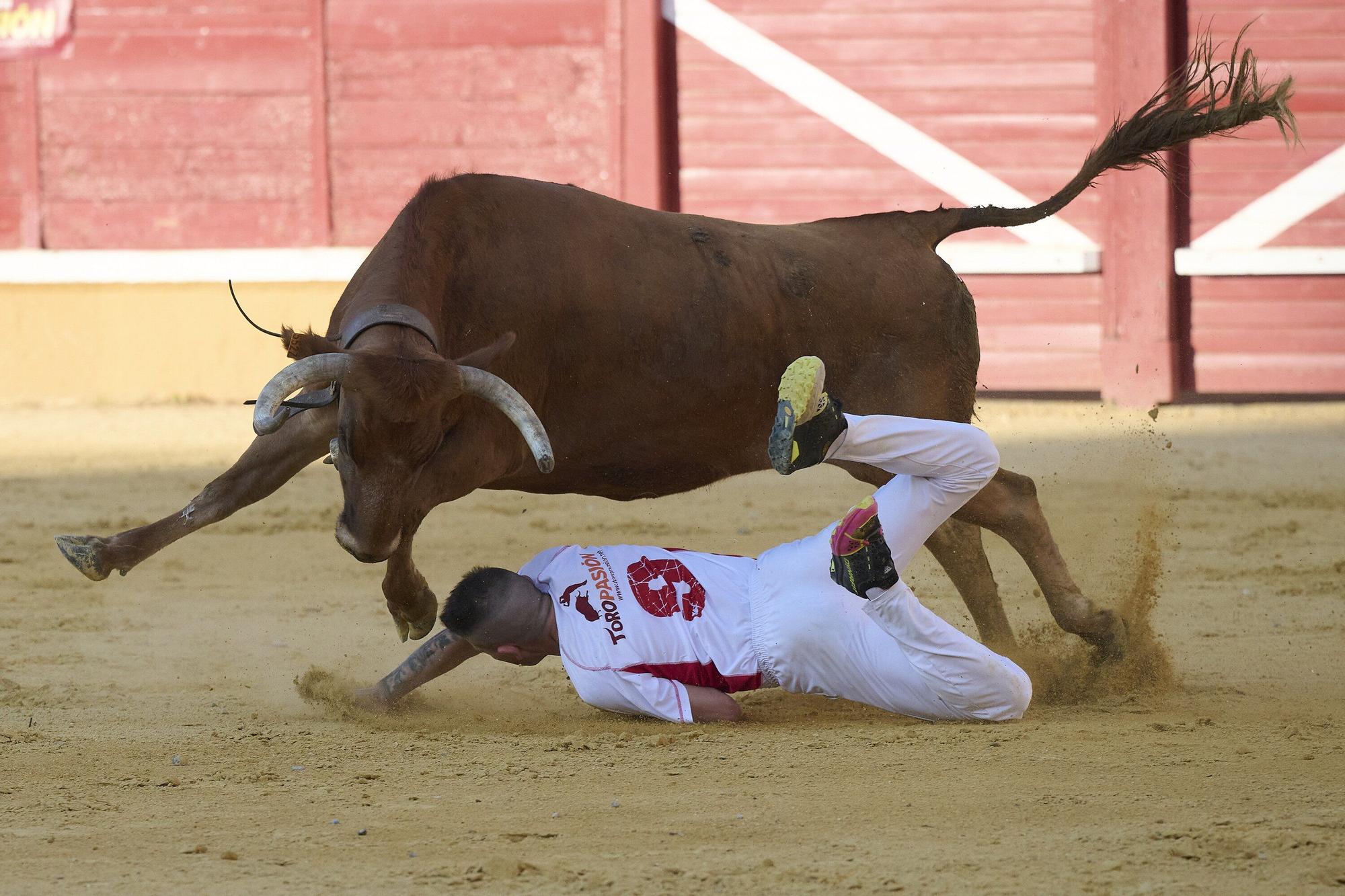 Concurso de recortadores con anillas