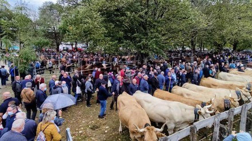 Baztan recupera, dos años después, la esencia de la feria de otoño