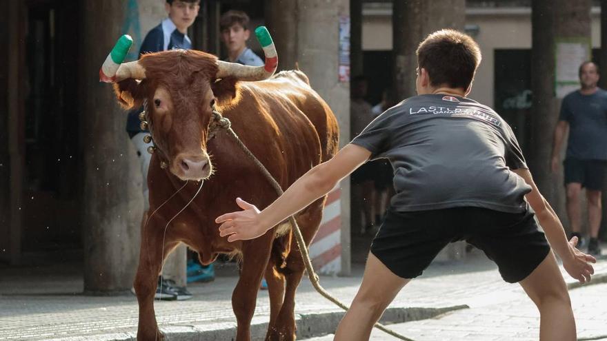 Los menores de 8 años no podrán participar en  'festejos taurinos de fomento'
