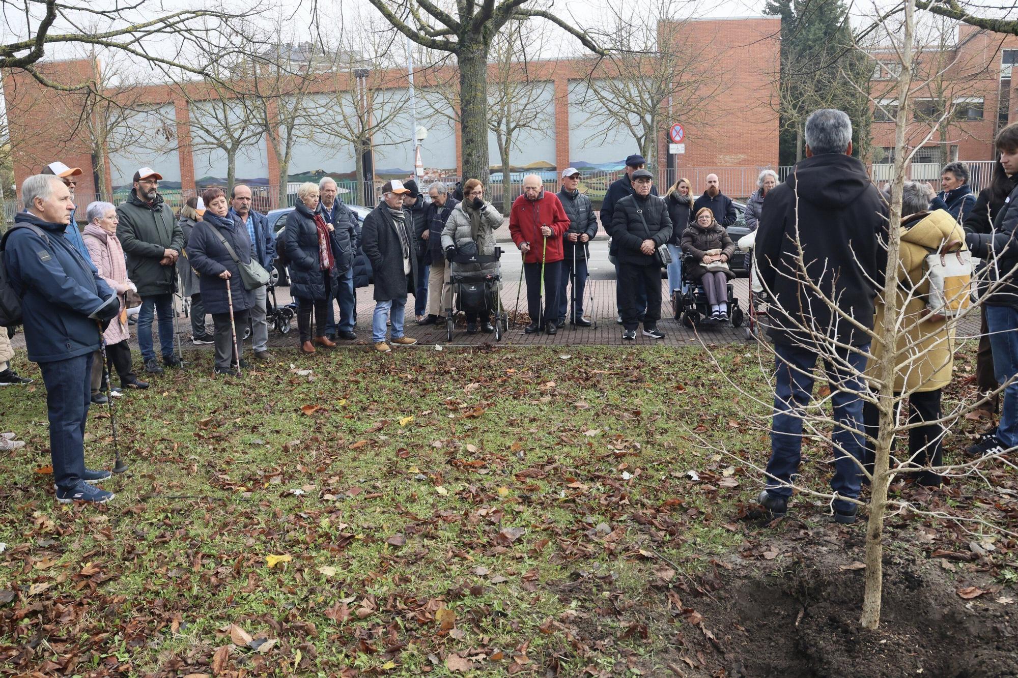En imágenes: Un árbol para 25 años de lucha contra el párkinson en Vitoria